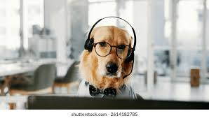 Reconhecimento de Animais